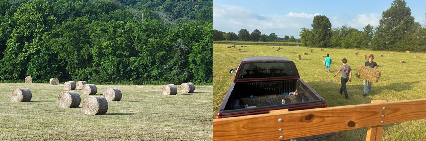 Loading hay bales into a truck
