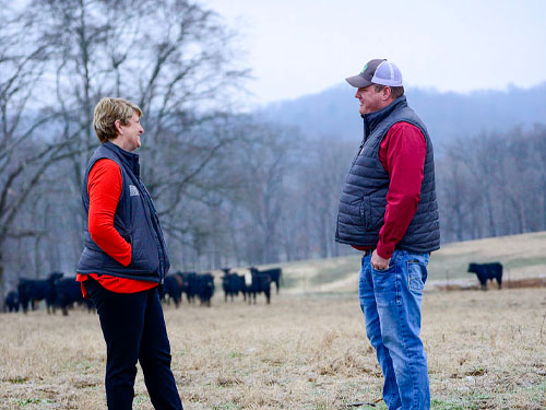 Beth Dawson with cows