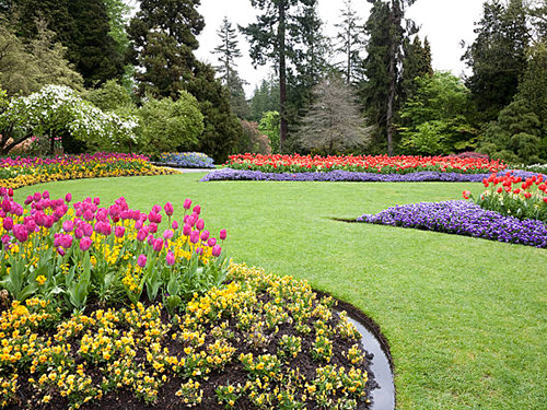 A well maintained lawn with a variety of bright flowers in flowerbeds surrounding the yard.