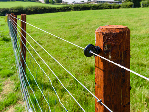 Up close look at a fence on a farm