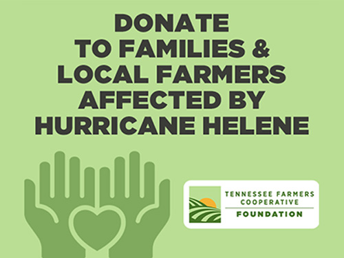 Donate to families & local farmers affected by hurricane Helene - Tennessee Farmers Cooperative Foundation