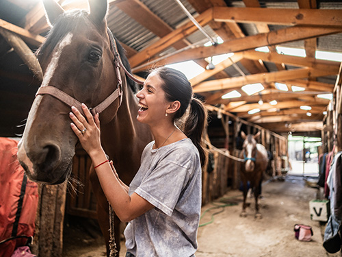 Attention Equine Owners: This Cost-Share Program in Tennessee is Now for You