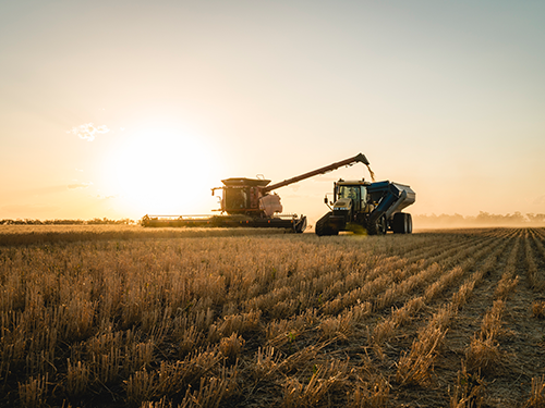 A combine and tractor harvesting in a field
