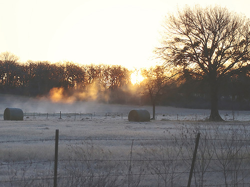 Hay bales in the field covered in morning frost.