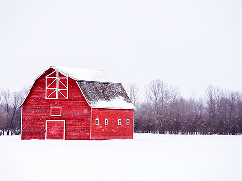 A big red barn in a snow covered field during snowfall.