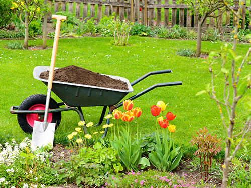 A wheelbarrow filled with dirt in front of a garden.