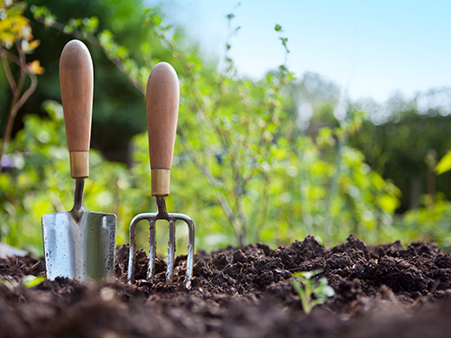 A garden trowel and spade.