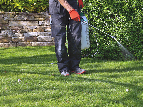 Someone spraying insecticides on their yard.