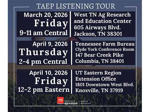 TAEP Listening Tour Graphic