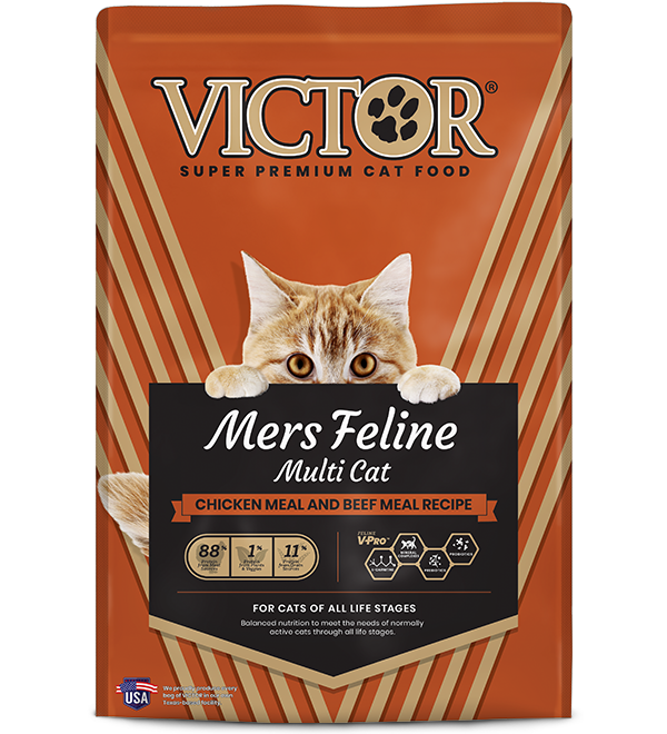 Mers Feline