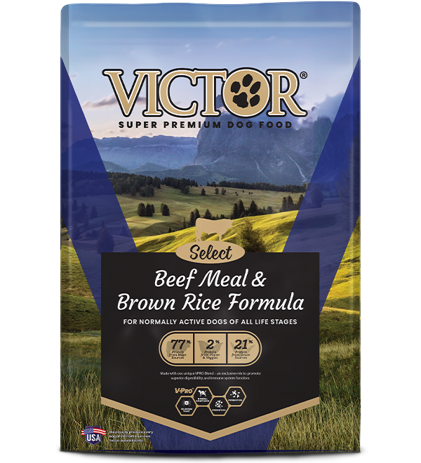Beef Meal & Brown Rice Formula