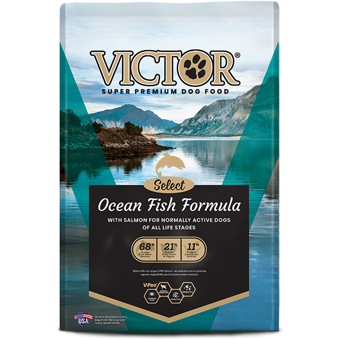 Ocean Fish Formula with Salmon