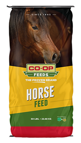 11% Sweet Horse Feed Coarse