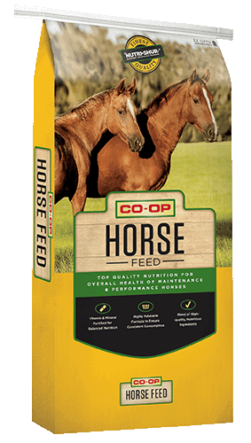 11% Sweet Horse Feed Hi Fat Course