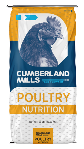 CM100CR | Cumberland Mills Chick Starter-AMP