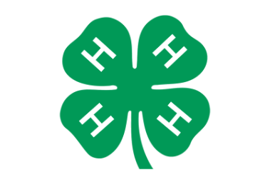 4-H