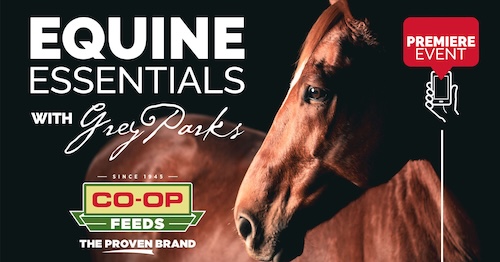 Equine Essentials