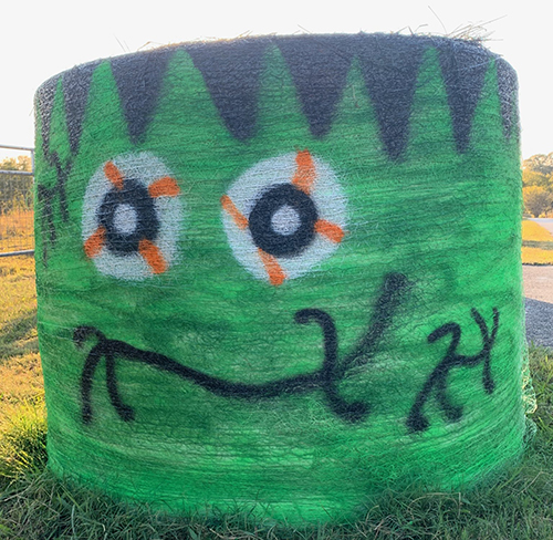 Can You Use Halloween Straw Bales In Your Garden?