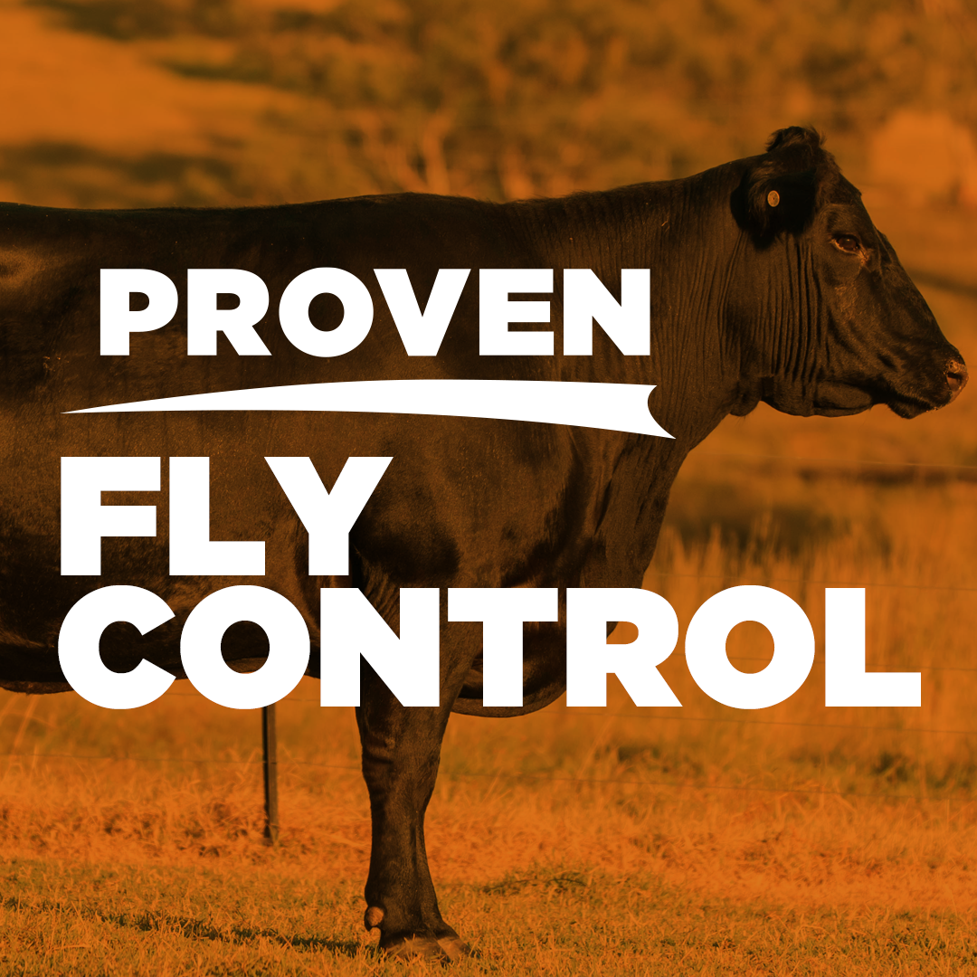 Proven fly control