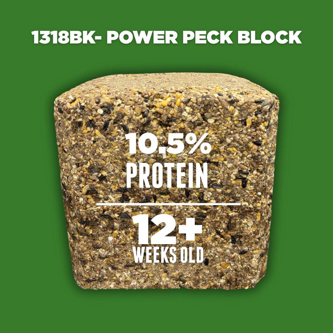 1318BK - Power Peck Block