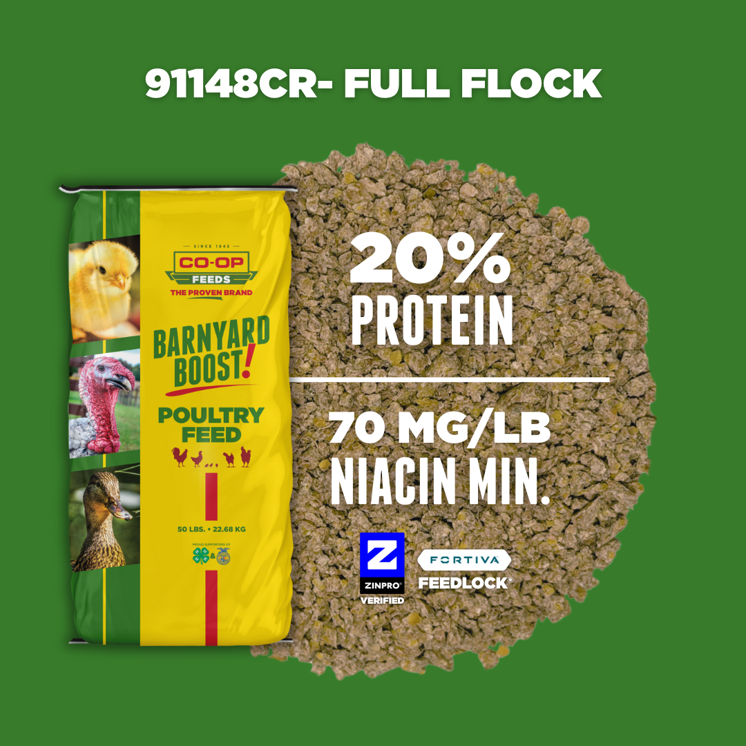 91148CR-Full Flock