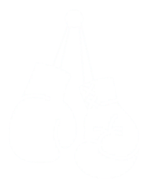Boxing gloves