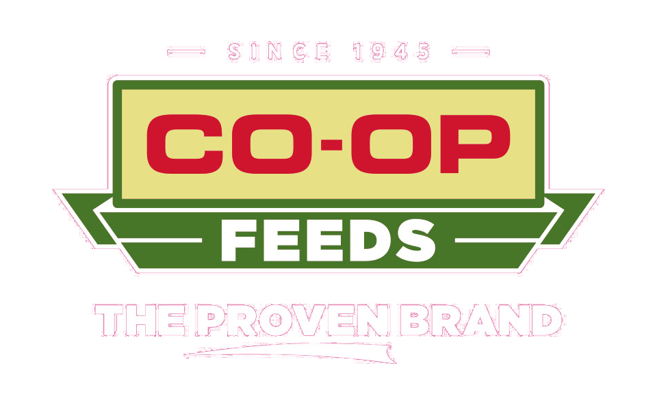 Co-op Feeds