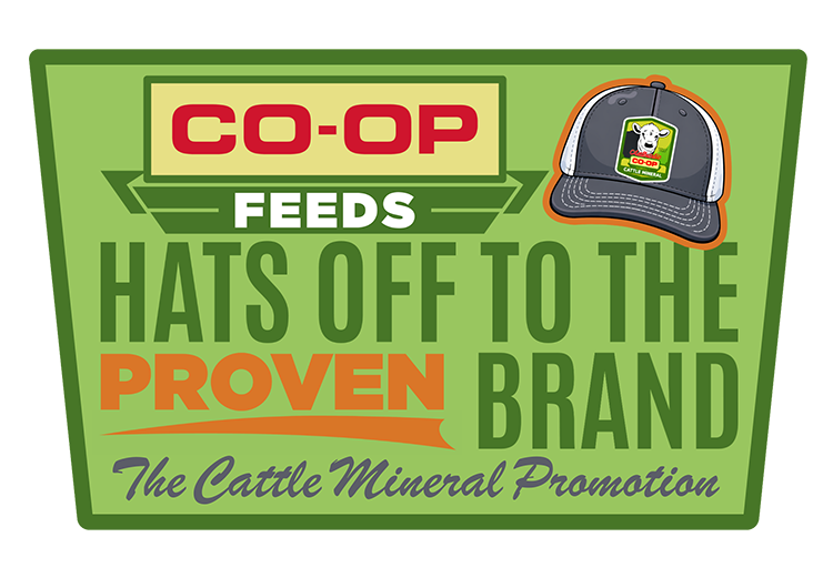Hats off to the proven brand