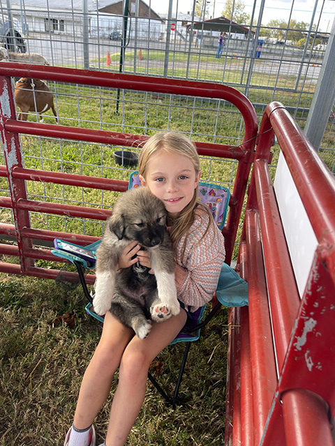 A girl holding a puppy in her arms.