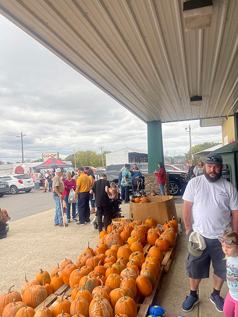 Pumpkins lined up on pallets outside of the Co-op. Crowds of people throughout the parking lot.