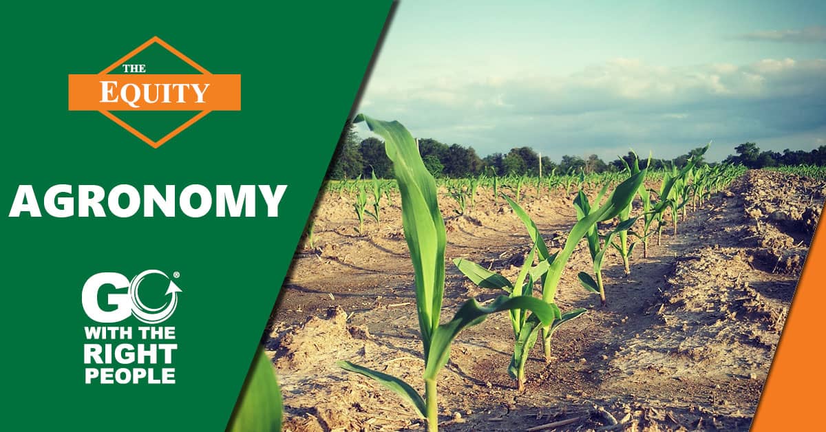 Agronomy | Crop Production | Crop Protection | Financing - The Equity