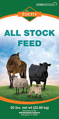 All Stock Feed