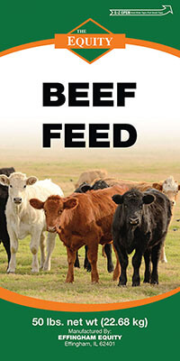 Beef Feed