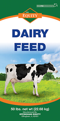 Dairy Feed