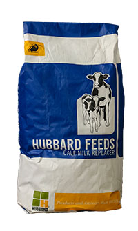 Hubbard Calf Beginner Plus 22-20 AM DX MOS