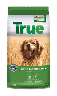 Nutrena True Adult Maintenance 21-12 Dog Food