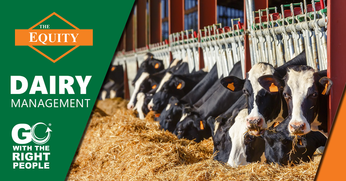 Dairy Livestock Management The Equity The Equity