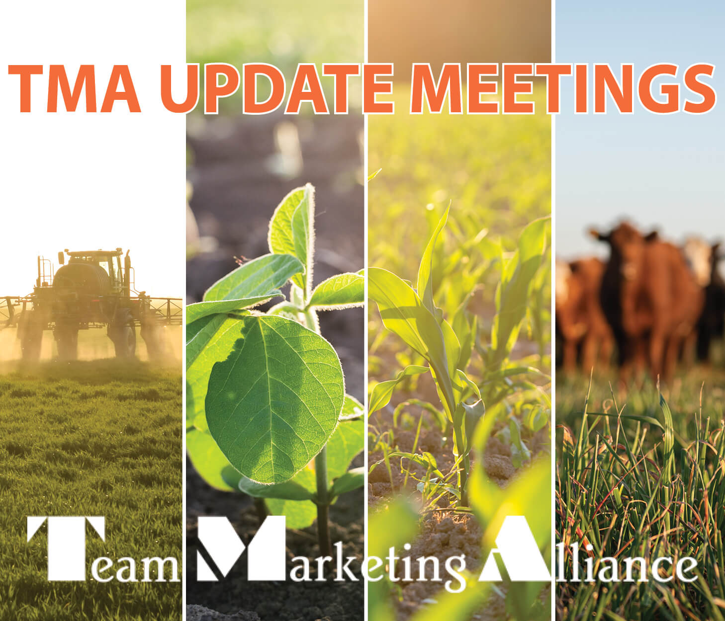 TMA Update Meetings