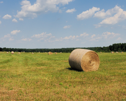 Pasture, Rangeland and Forage