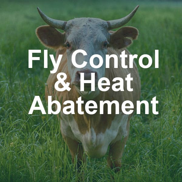 The Importance of Fly Control & Heat Abatement