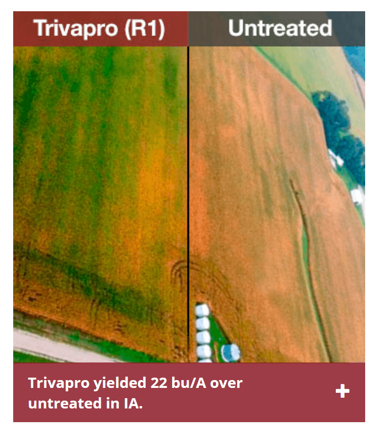 TrivaPro Proving to Yield Results