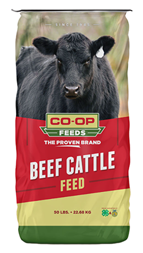 14% Beef Generator MA