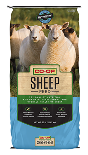 13% Pelleted All-Purpose Sheep Feed