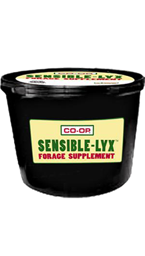 Beef Tub 24% with Mag, 200 LB