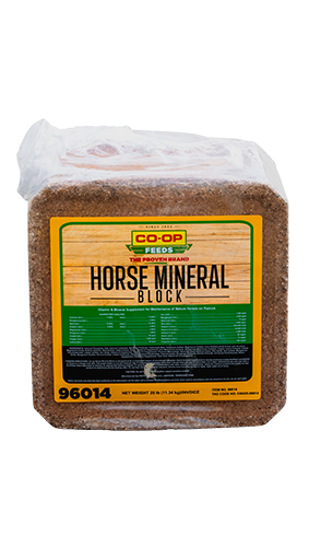 Co-op Horse Mineral Block