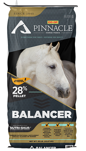 Co-op Pinnacle Balancer