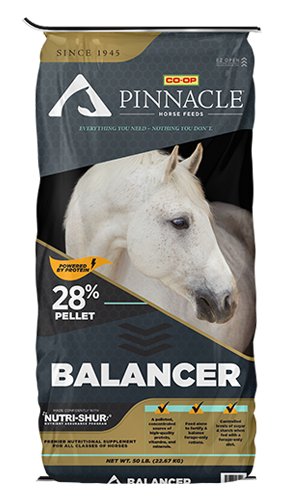 Pinnacle Balancer