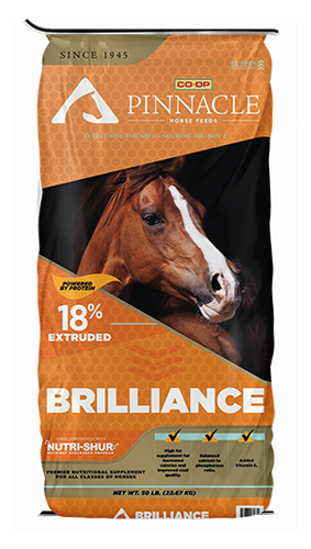 Pinnacle Brilliance