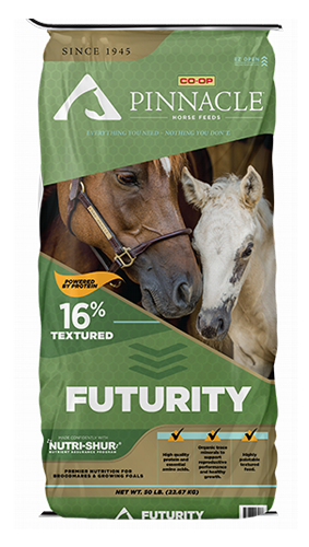 Pinnacle Futurity