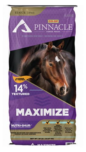 Pinnacle Maximize 